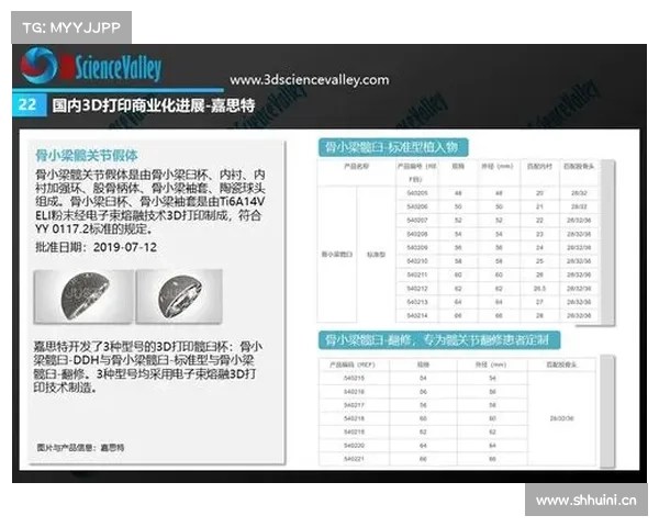 如何将3D打印鞋从技术化转变为商业化? 如何将3D打印鞋从技术化转变为商业化?